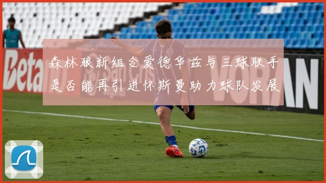 森林狼新组合爱德华兹与三球联手是否能再引进怀斯曼助力球队发展