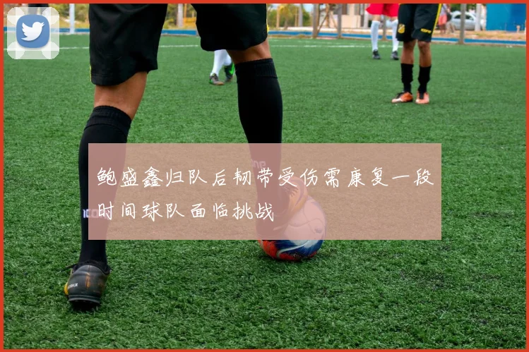 鲍盛鑫归队后韧带受伤需康复一段时间球队面临挑战