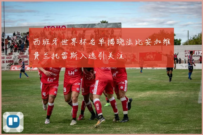 西班牙世界杯名单揭晓法比安加维费兰托雷斯入选引关注