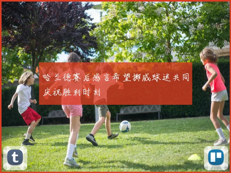 哈兰德赛后感言希望挪威球迷共同庆祝胜利时刻